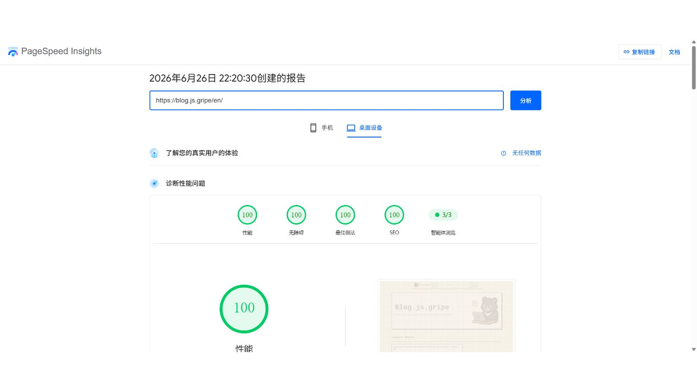 PageSpeed 桌面端報告截圖